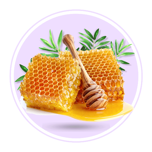خرید محصولات تولیدات عسل