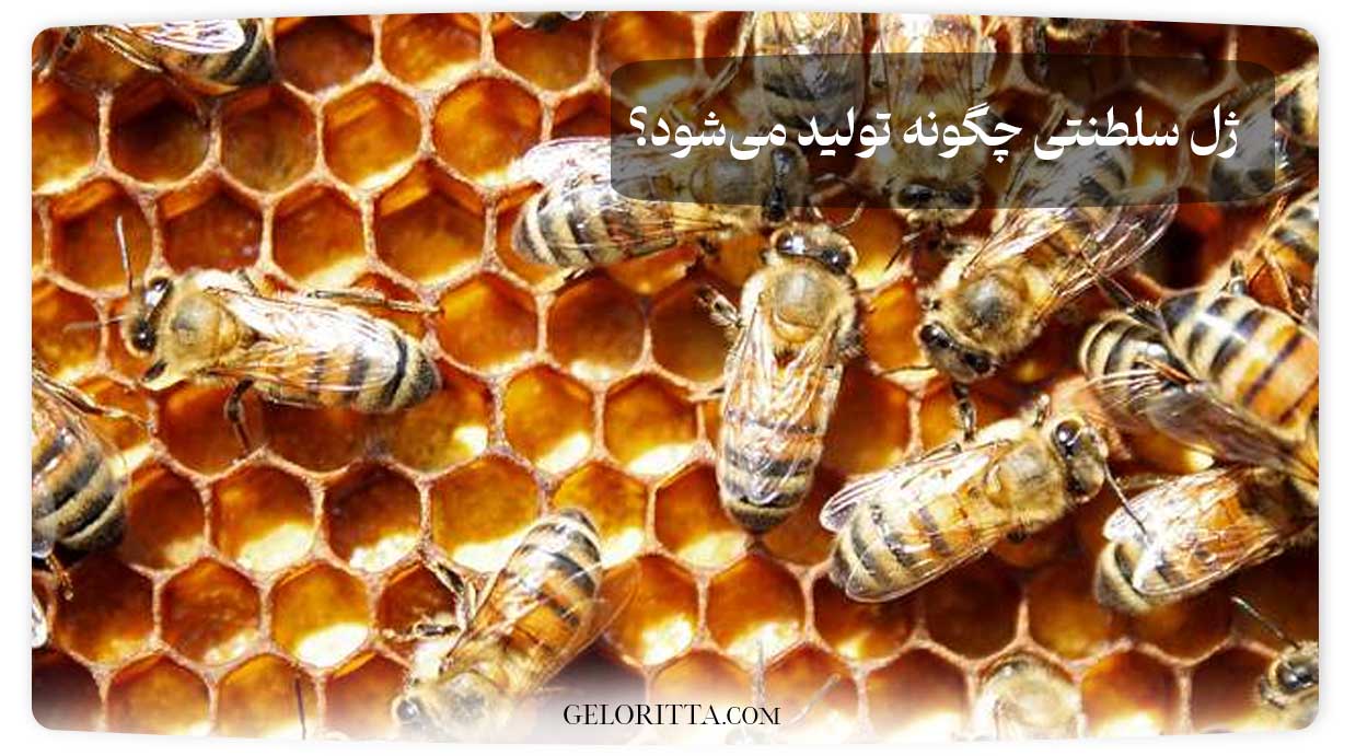 How-is-royal-jelly-produced