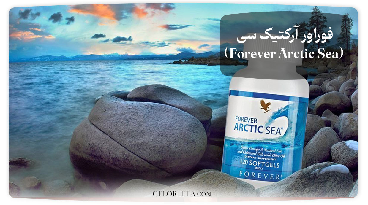 فوراور آرکتیک سی (Forever Arctic Sea)