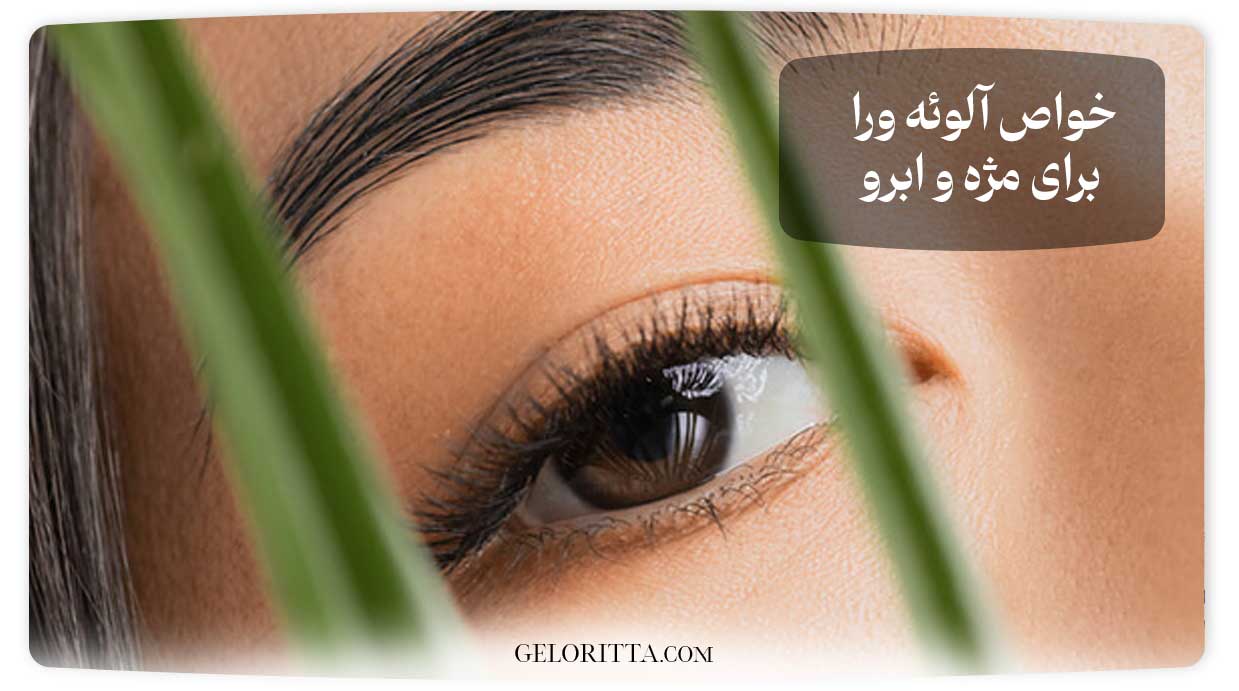 Properties-of-aloe-vera-for-eyelashes-and-eyebrows